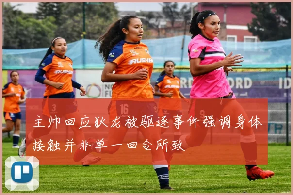 主帅回应狄龙被驱逐事件强调身体接触并非单一回合所致