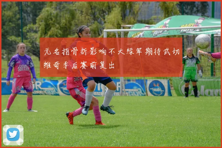 无名指骨折影响不大绿军期待武切维奇季后赛前复出