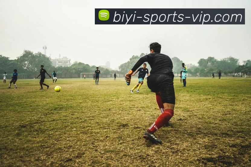 多媒体互动体验